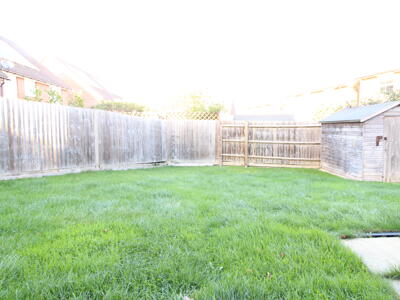 Picture 18